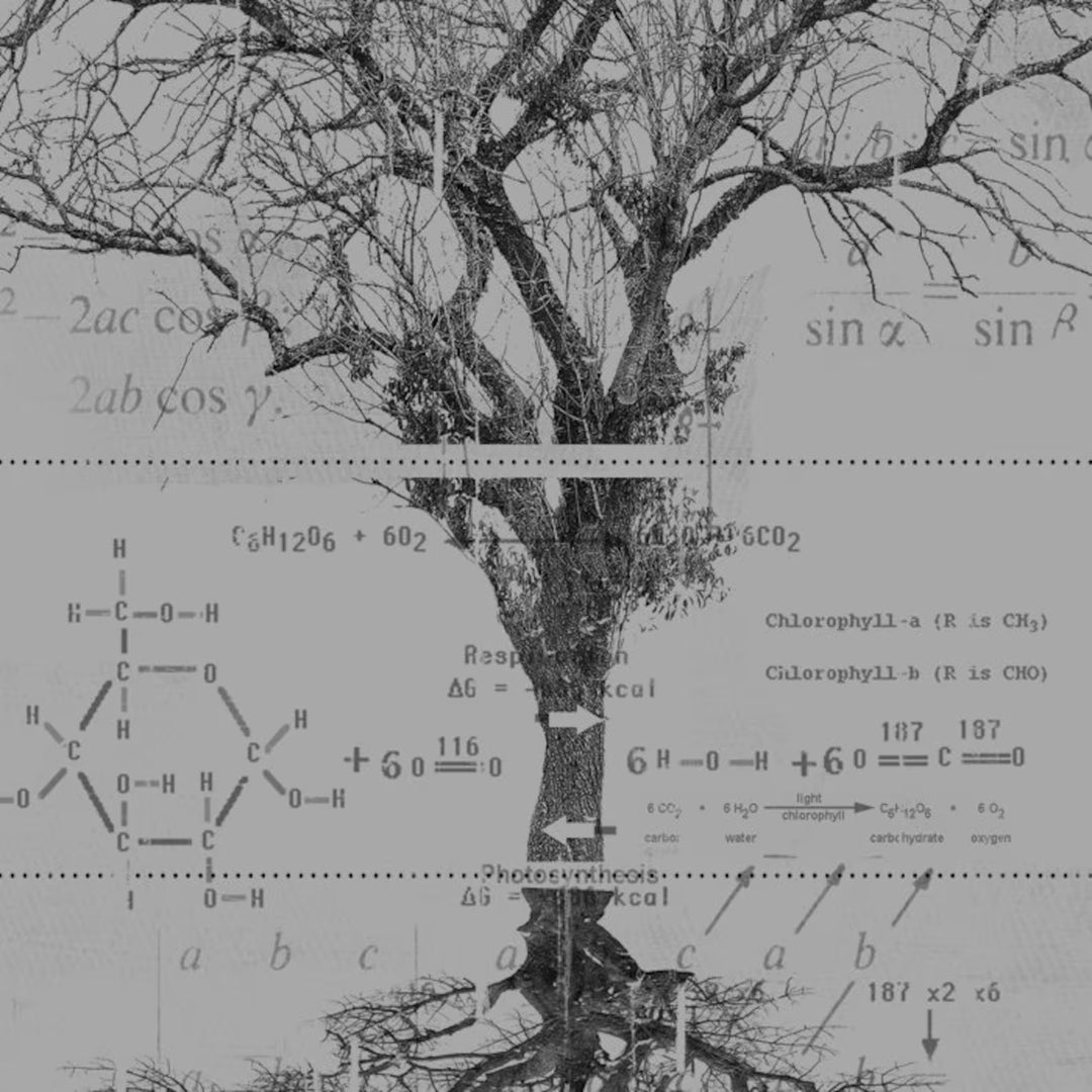 Baumdiagramm - T-Shirt