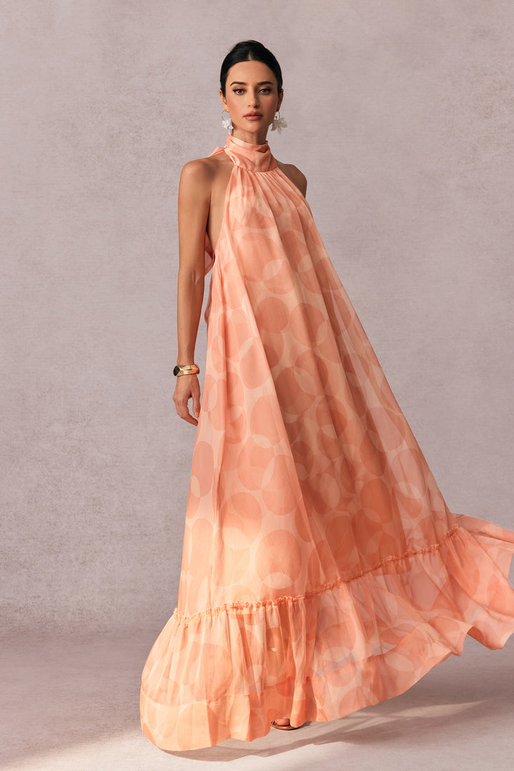 Stephanie Bedrucktes Neckholder Maxikleid vorne